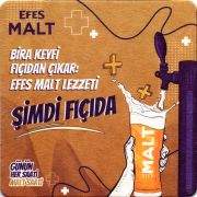 31315: Турция, Efes