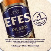 31320: Турция, Efes