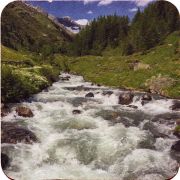 31628: Italy, gustAhr