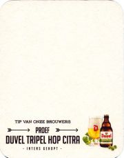 32820: Бельгия, Duvel