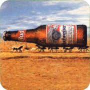 33363: USA, Budweiser