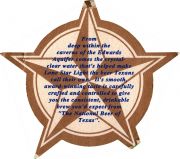 33384: USA, Lone Star