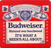 33537: USA, Budweiser