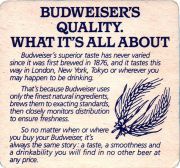 33537: USA, Budweiser