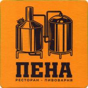 34213: Брянск, Пена / Pena