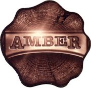 34819: Польша, Amber