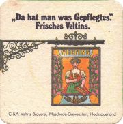 35903: Германия, Veltins