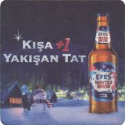 35933: Turkey, Efes