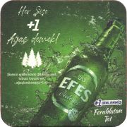 35962: Turkey, Efes