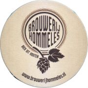 36113: Netherlands, Hommeles
