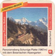 36642: Switzerland, Rugenbrau
