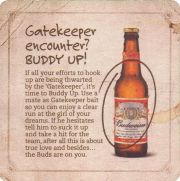 37410: США, Budweiser