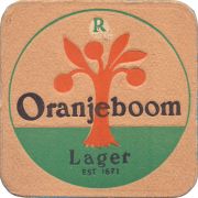 37913: Oranjeboom, 95x95 mm