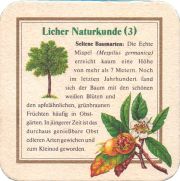 38037: Licher, 93x93 mm