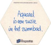 38516: Hoegaarden, 130x114 mm